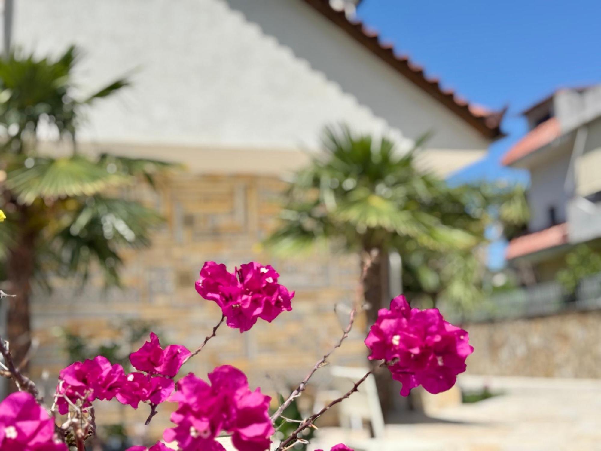 Villa Ida Apartments Vlorë Exterior foto