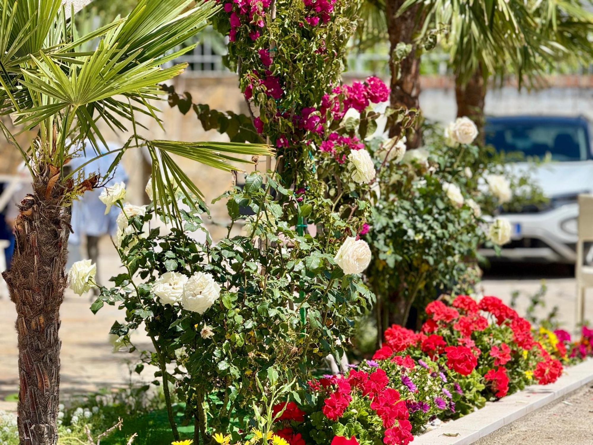 Villa Ida Apartments Vlorë Exterior foto